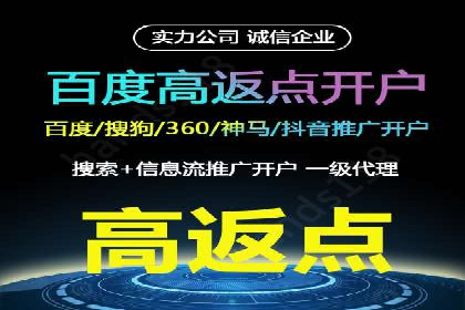 某品牌SEM广告策略揭秘——代运营公司的智慧